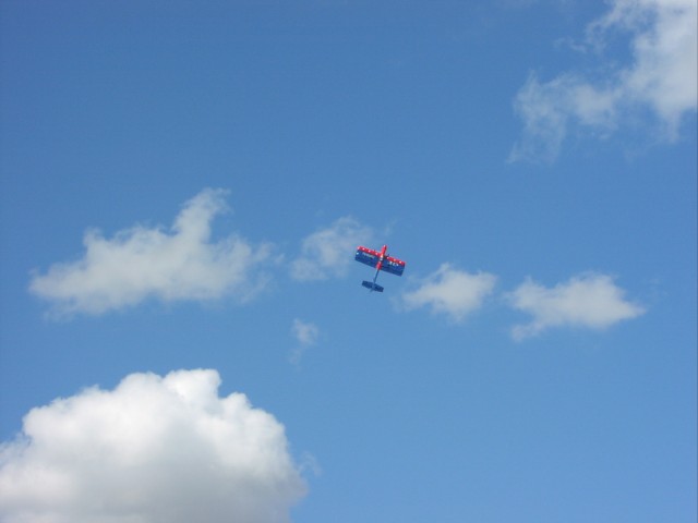 P1010014.jpg