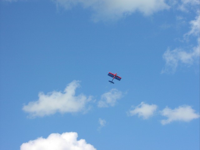 P1010015.jpg