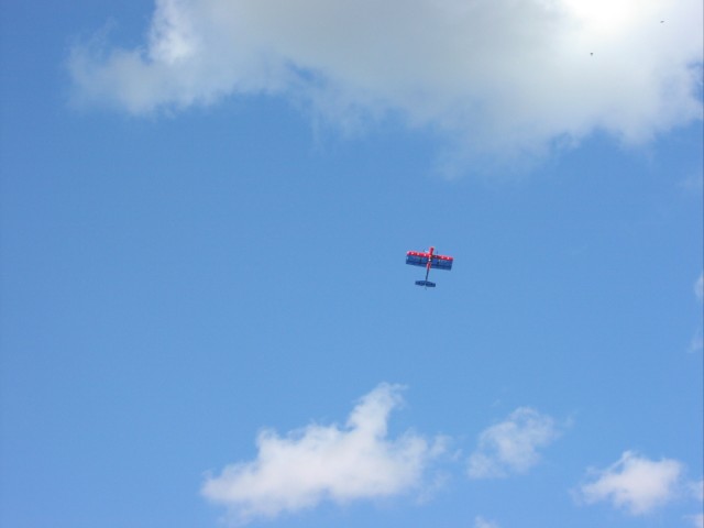 P1010016.JPG