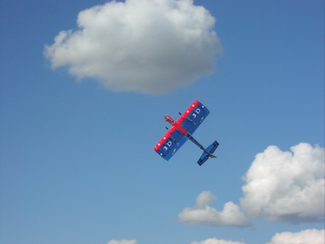P1010022.JPG