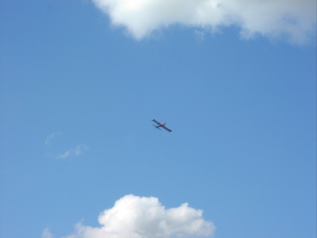 P1010023.JPG