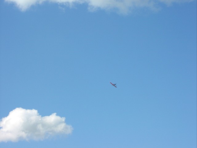 P1010024.JPG