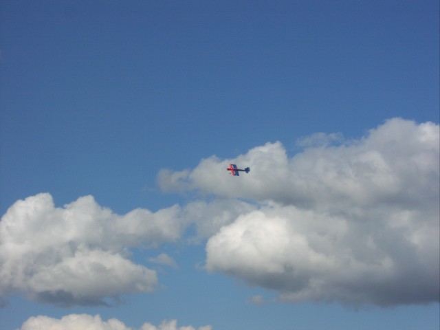 P1010030.JPG