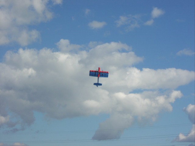 P1010033.JPG