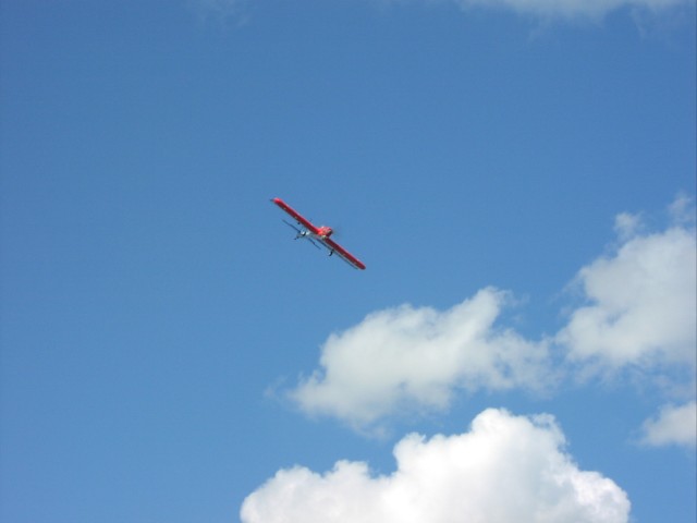 P1010045.JPG