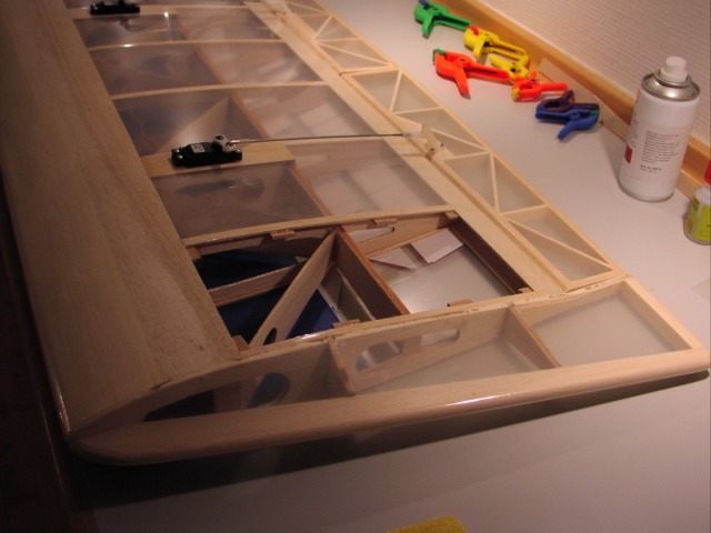 P1010001.jpg